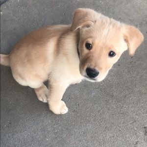 Meet your Posher, Brianne